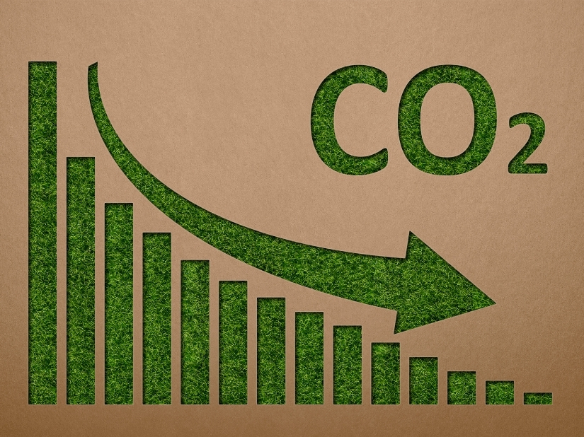 tendenze ecologiche