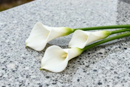 Fiori per funerali e cimiteri – Tradizione, simbologia e attrezzature