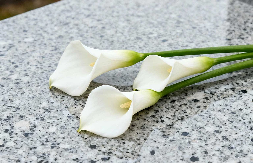 Fiori per funerali e cimiteri – Tradizione, simbologia e attrezzature